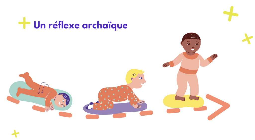 Travailler les réflexes archaïques, c'est aider au développement moteur de bébé.