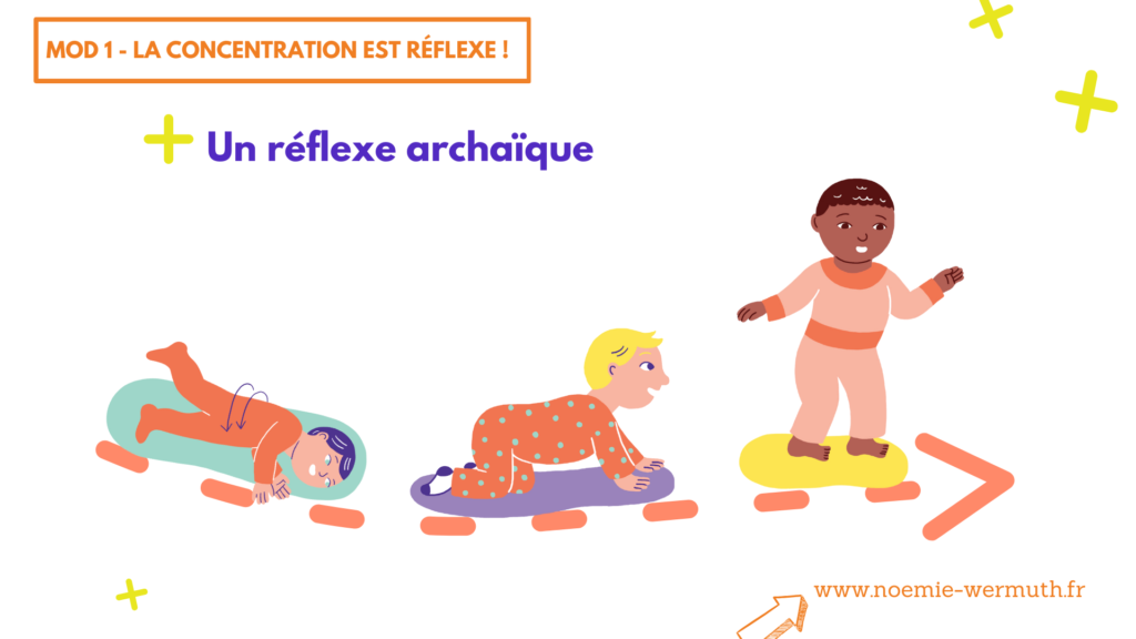 les réflexes archaïques jouent un rôle important dans le développement de l'enfant TDAH HPI autiste et hypersensible.